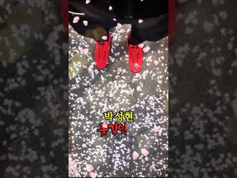 박성현  -  꽃길인생