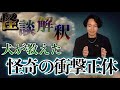 《怪談解釈》犬が見つけた不可解な心霊現象