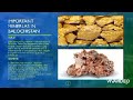 Minerals found in Pakistan by first year mining student