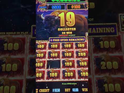 Back to back wins on #fun88 #crazytime #evolution