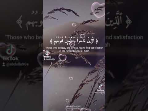 كتاب كتب قراءة قاريء صفحة صفحات ورق ورقة كيندل مكتبة كاتب مؤلف روائي قصصي كتاب اليوم