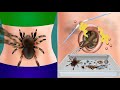 Asmr cleansing of belly button removing bug and navel stones  asmr care animation  jinjja  asmr