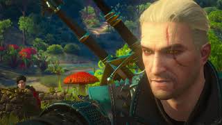 Witcher 3 moments #2