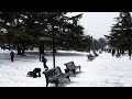 Первый снег выпал в Севастополе  The first snow fell in Sevastopol