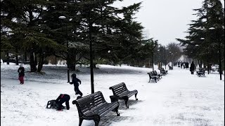 Первый снег выпал в Севастополе  The first snow fell in Sevastopol