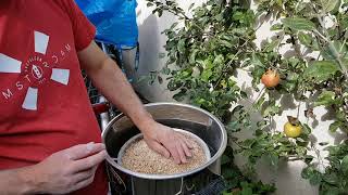 English Barley Wine Mk2 on Braumeister 20l