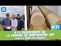 Lait'Change #31 - A la découverte de la Fourme de Montbrison AOP fermière dans la Loire - avec Le GA