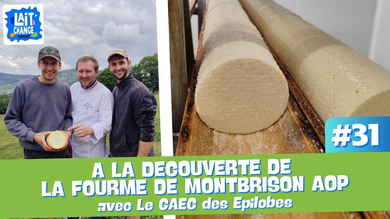 Lait'Change #31 - A la découverte de la Fourme de Montbrison AOP fermière dans la Loire - avec Le GA