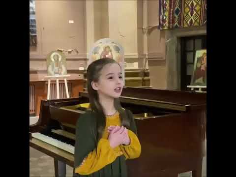 Виконує Анастасія Брезіцька тця маленька дівчинка співає серцем і душею 