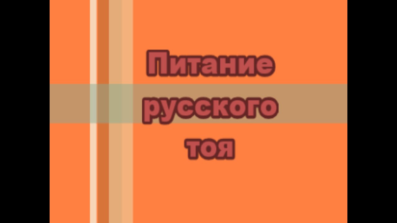 Питание русского тоя