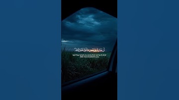 Surah Al-Maidah 049-050 سورة المائدة #quraniv #quran