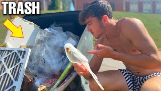 Saving abandoned tiny bird... Rescue Mission - YouTube