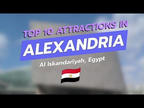 🌟 Top 10