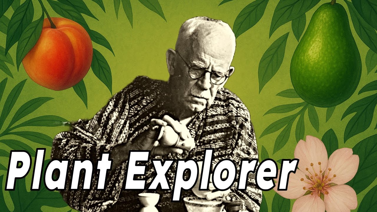 The Man Who Gave Us Avocados (And Much More): David Fairchild