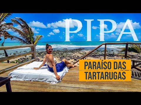 Onde ficar em PIPA | POUSADA PARAÍSO DAS TARTARUGAS | Vlog de Viagem.