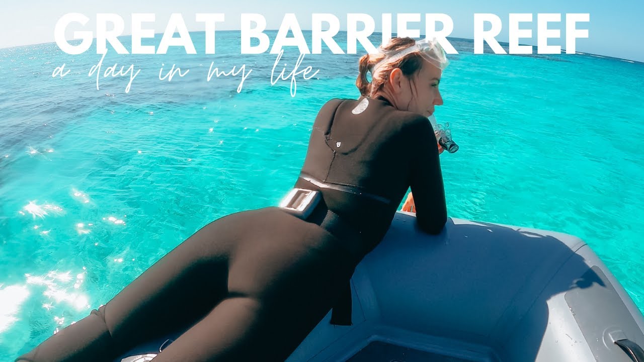 THE REAL Great Barrier Reef. I’m in total shock…