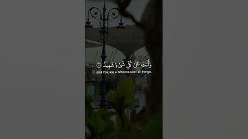 سورة المائدة ||حالات واتس قرآن || تلاوة الشيخ #ياسر_الدوسري