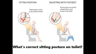 How toilet posture affects your health screenshot 2