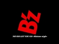 NEVER LET YOU GO  -Mixture style-