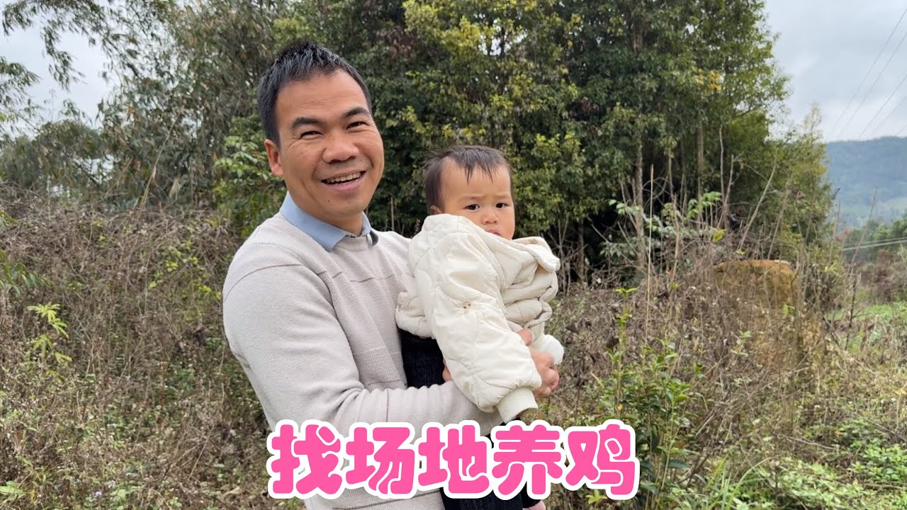 阿金与小翠四处找空地，从哪跌倒就从哪爬起来，各有利弊很难抉择