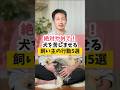 飼い主が気づかないうちにやっている犬を悲しませる行動5選#犬のいる暮らし #dog #愛犬