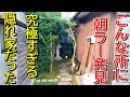 【まさかの住宅街に】ハイレベルな隠れすぎた名店！新潟ラーメン巡り！第４０８弾！