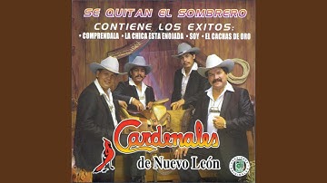 El Cachas De Oro
