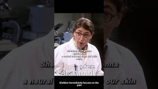 The Big Bang Theory (TV Series) | Sheldon Survives Amy’s Science Test