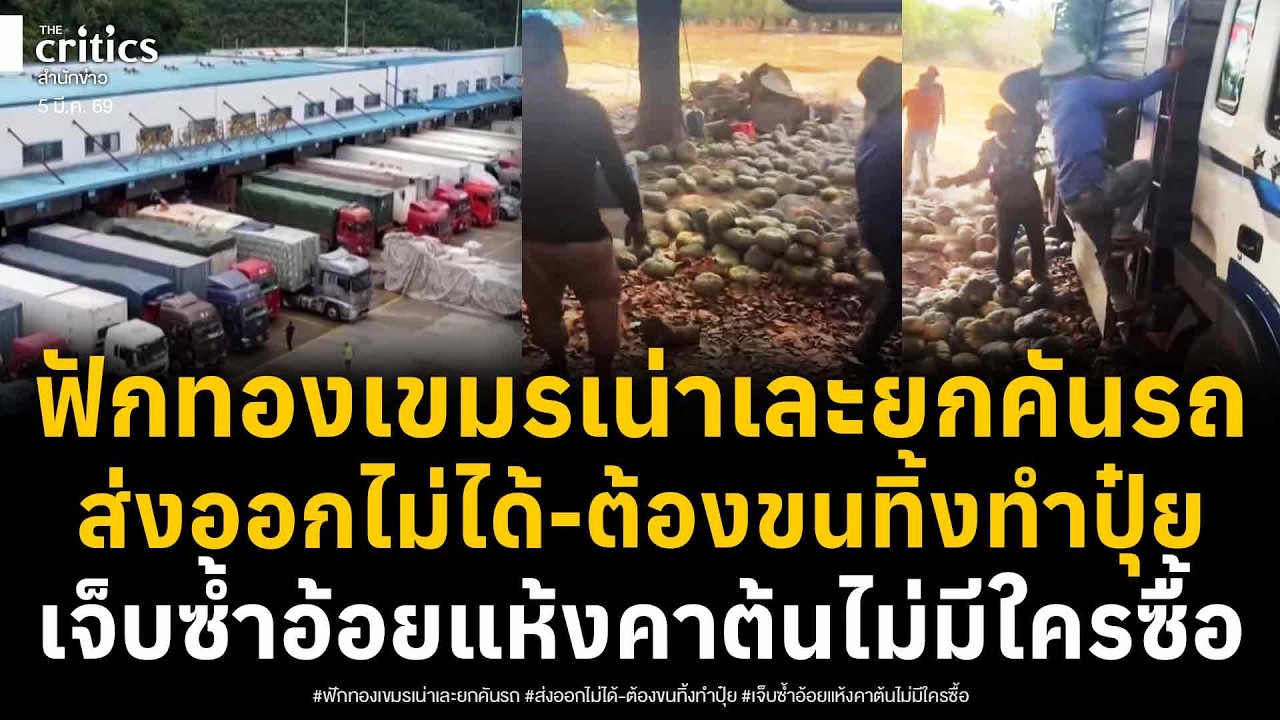 เขมรสิ้นหวัง!ถึงคิวฟักทองเขมรเน่าเละคารถ-ส่งออกไม่ได้ ขนทิ้งทำปุ๋ย เจ็บซ้ำอ้อยแห้งคาต้น-ไม่มีใครซื้อ