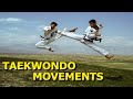 Taekwondo movements  highlights 2020