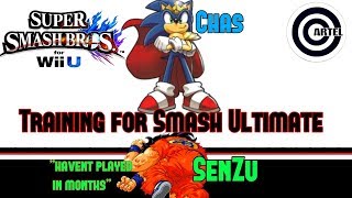 Training for Super Smash Bros Ultimate