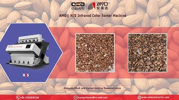 AMD® Sorting Solution - NI5 Infrared Optical Color Sorter for Almond Nuts Kernel & Shells Separating