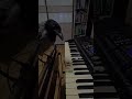 Warm-up time: A little improvisation before the lesson