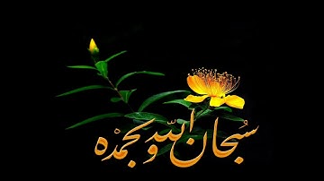 تلاوة خاشعة سورة النور - امام الحرم النبوي الشيخ عبدالمحسن القاسم www.qoranet.net