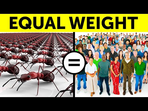 Quick Facts to Make You the Most Interesting Person in The Room
