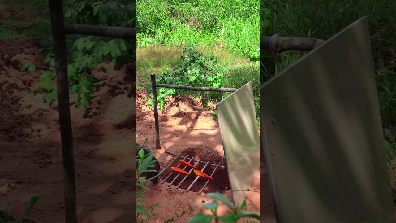Build underground primitive wild boar trap  