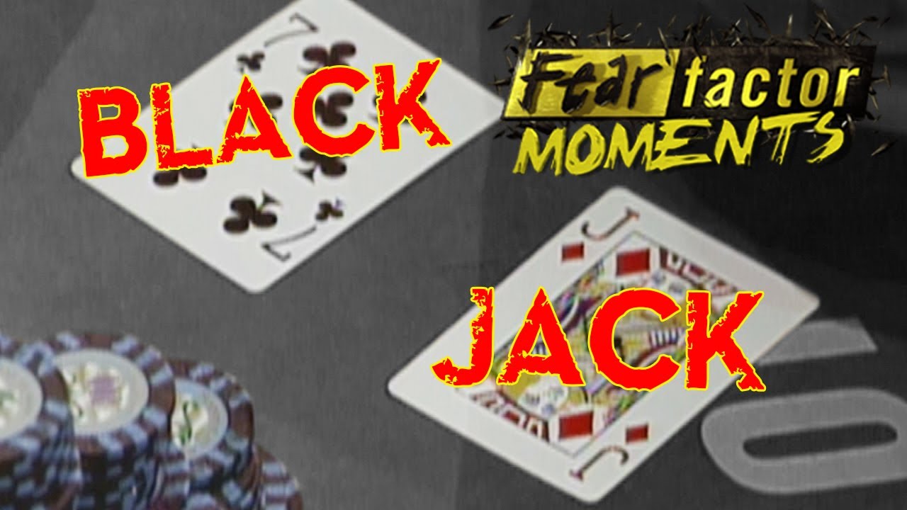 Fear Factor Moments Blackjack Bet YouTube
