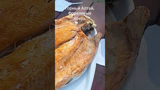 А вы ели вкусную  форель в Горном Алтае?  #shortes