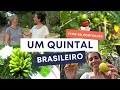 AMAZING BRAZILIAN BACKYARD! Vlog in Authentic Portuguese