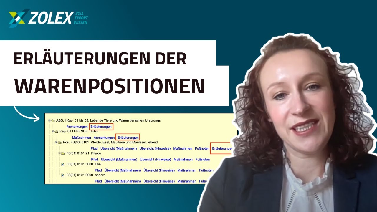 Wareneinreihung: Wie Sie die Erläuterungen für sich nutzen | Zoll- und Exportwissen