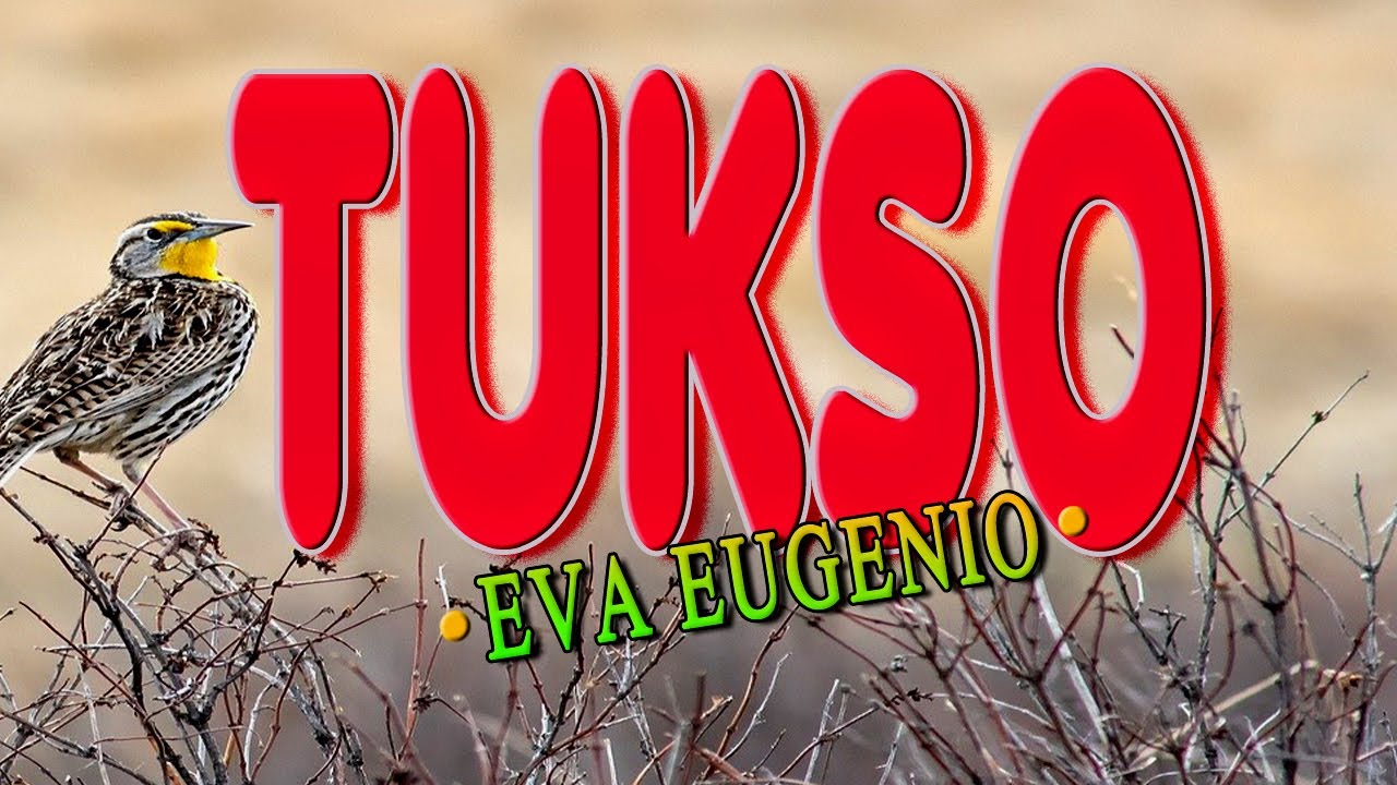 TUKSO Karaoke Version Popularized By EVA EUGENIO YouTube
