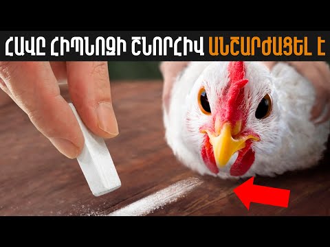 Video: Որո՞նք են հանելուկները կենդանիների մասին