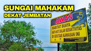 Download Lagu BEWARE..!! HABITAT OF CROCODILES ON THE BANK OF THE MAHAKAM RIVER MP3