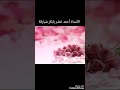 أجمل حبيب للروح الأستاذ أحمد خضر بابكر شبارقة
