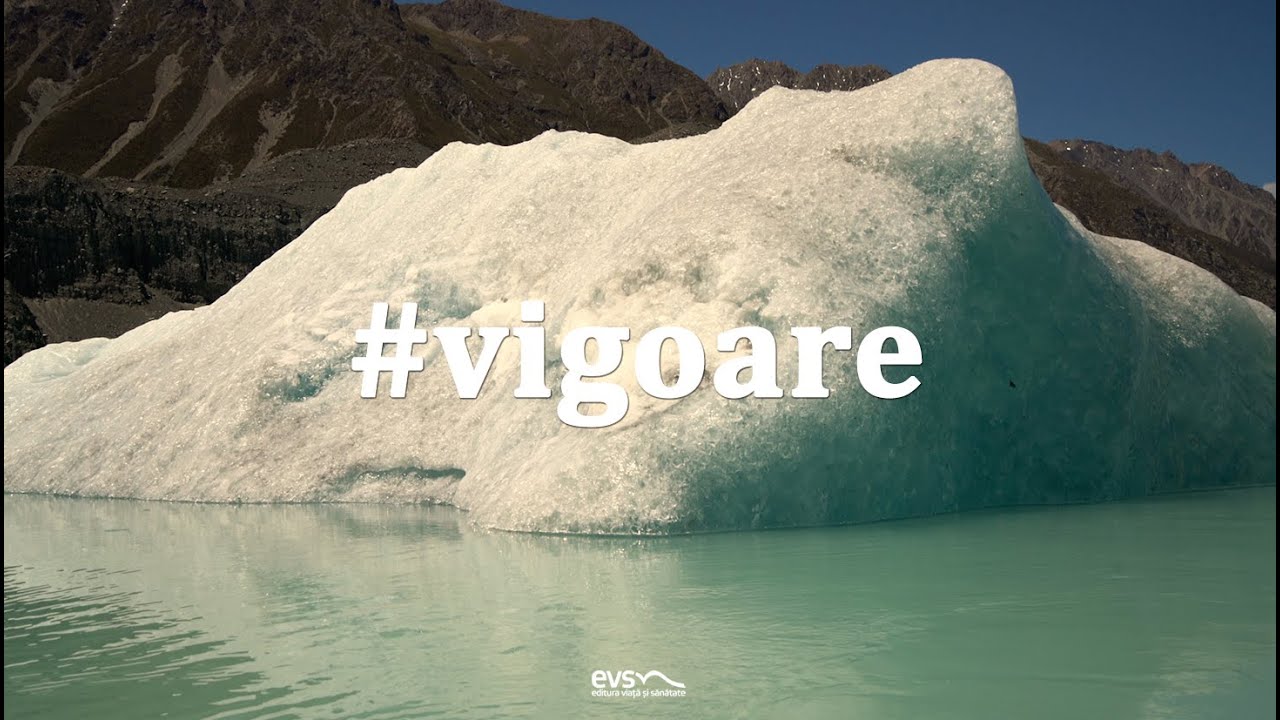 Vigoare
