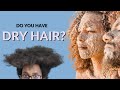 The REAL Cause Of Your Dry Natural Hair | Do You Need MOISTURE or HYDRATION? | Moisture vs Hydration