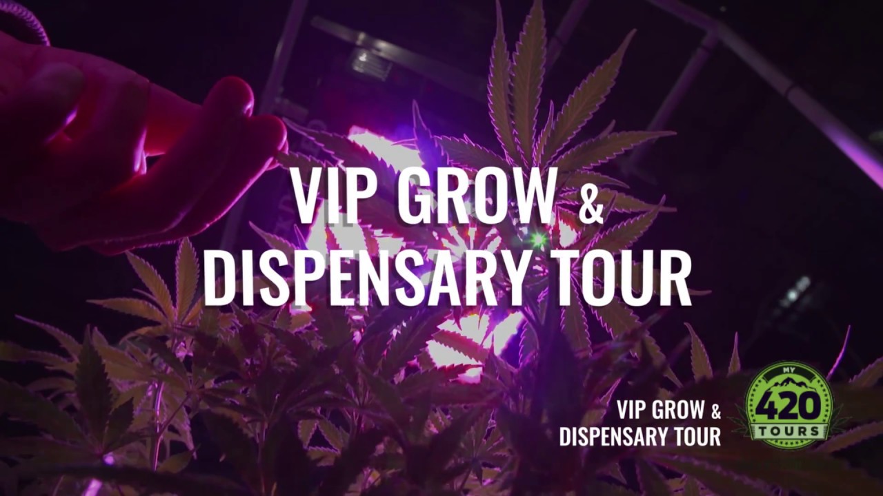 VIP Grow and Dispensary Tour | My 420 Tours