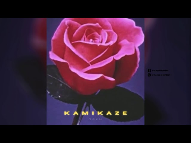 Tosh - Kamikaze