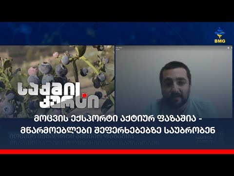 მოცვის ექსპორტი აქტიურ ფაზაშია - მწარმოებლები შეფერხებებზე საუბრობენ
