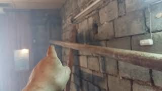 Дымоход в гараже (часть 3) Garage chimney